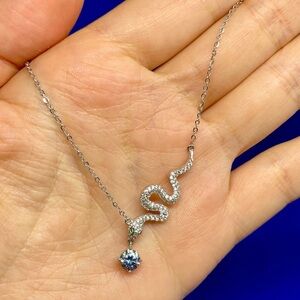 2025 Year Of Snake Silver Moissanite Necklace-Passion & Determination